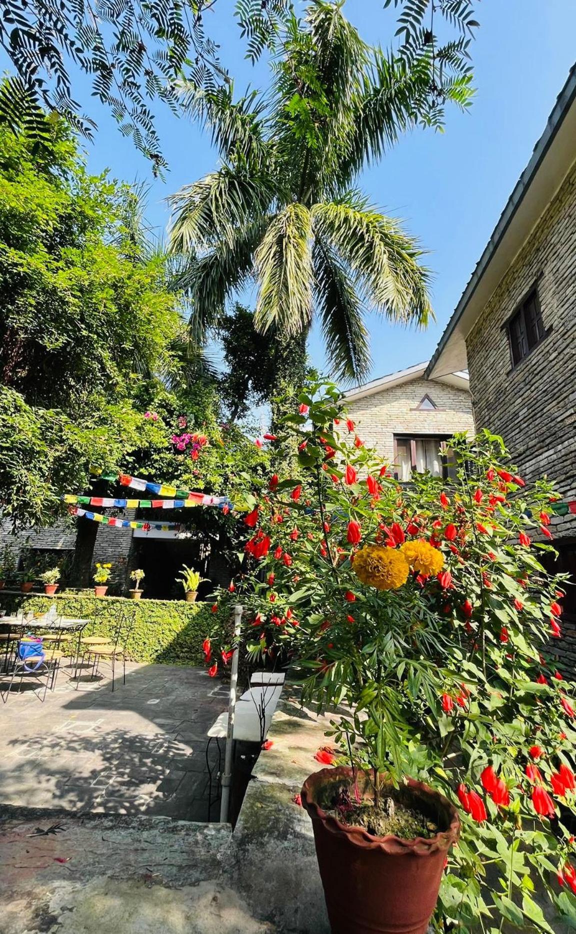 Mum'S Garden Resort Pokhara Bagian luar foto